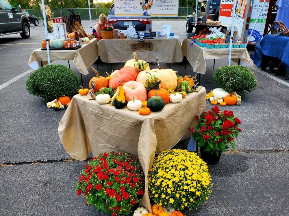 Spring Creek Farms photo 5