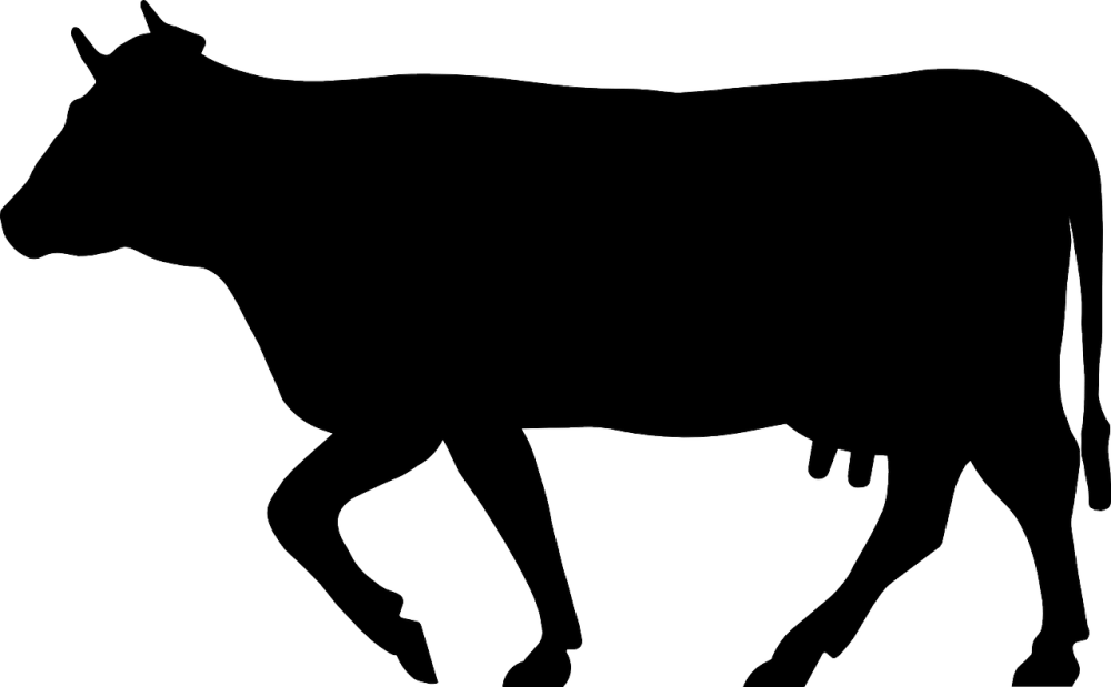 cow-145928_1280-3.png