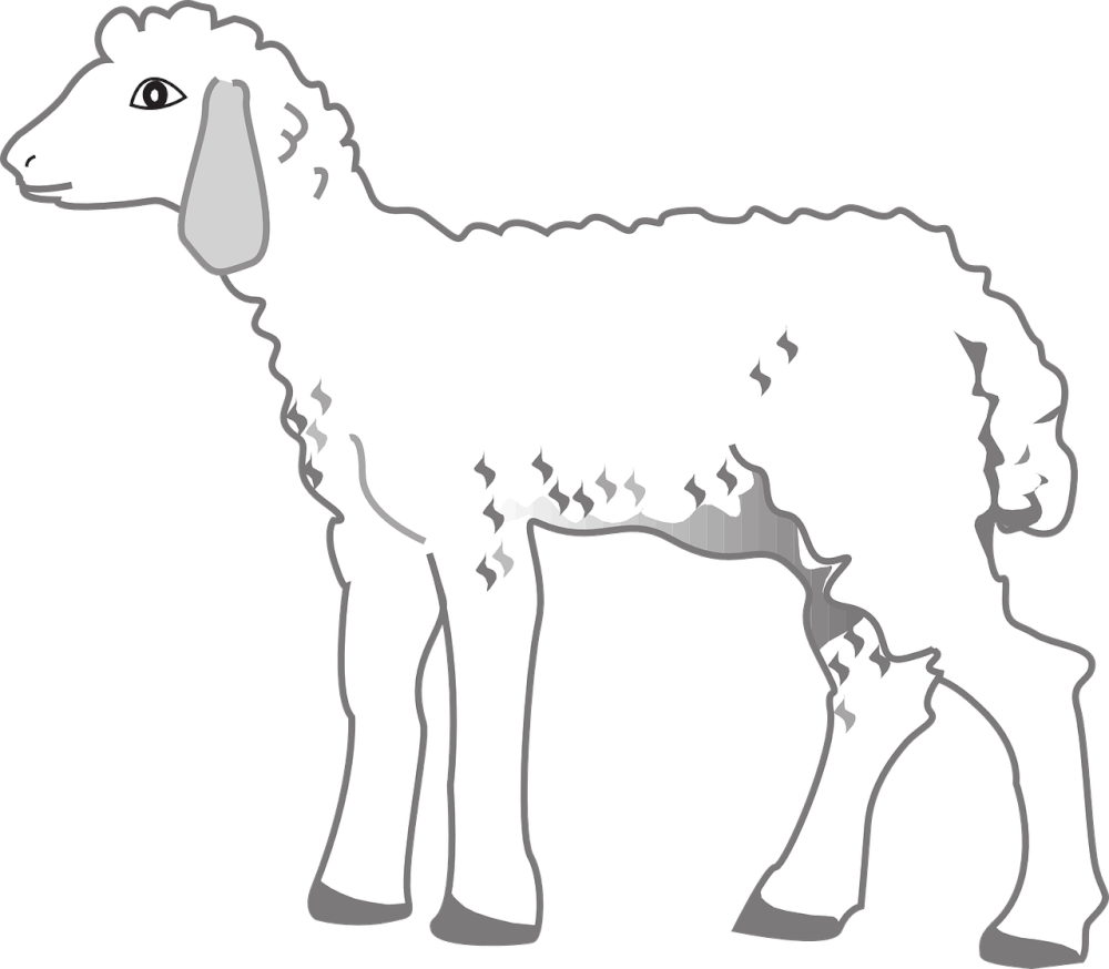 lamb-44664_1280.png