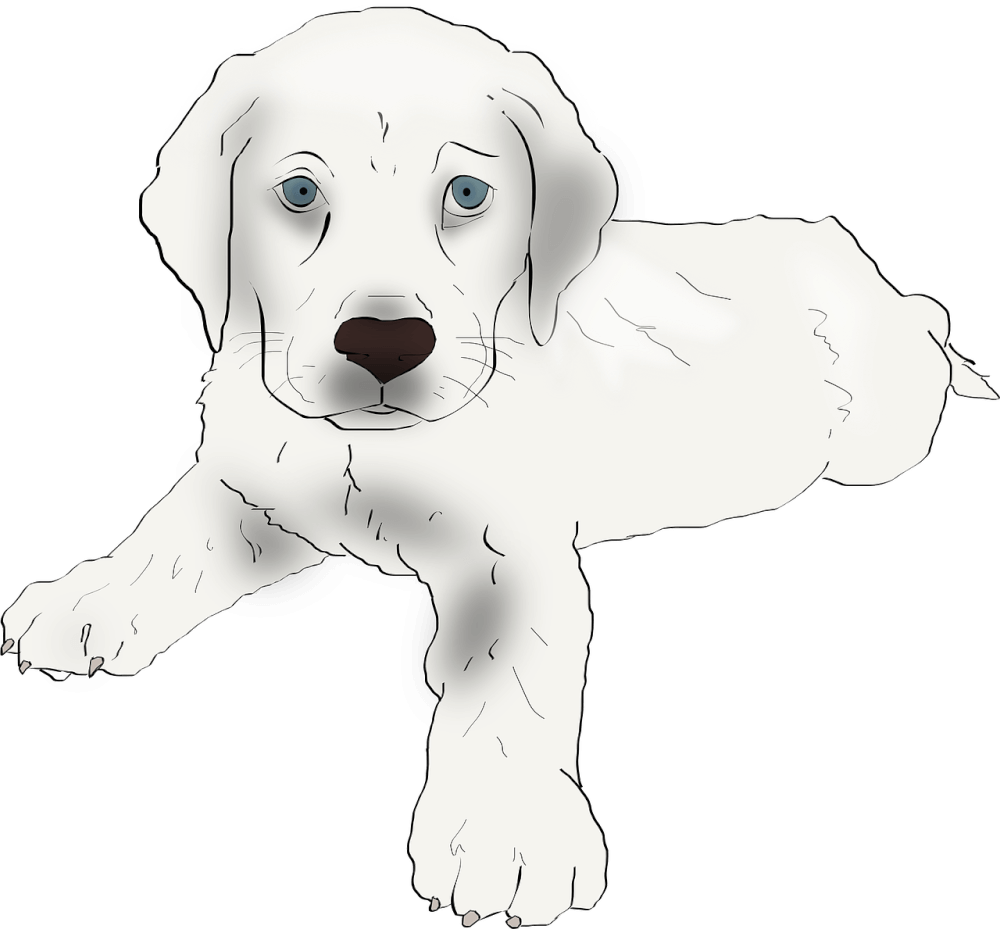 puppy-33402_1280.png